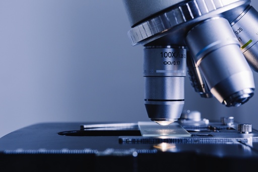 [ SR10070PA-1] Human E-Cadherin, CDH1 Differentiation Reporter (pGreenZeo, plasmid)   
